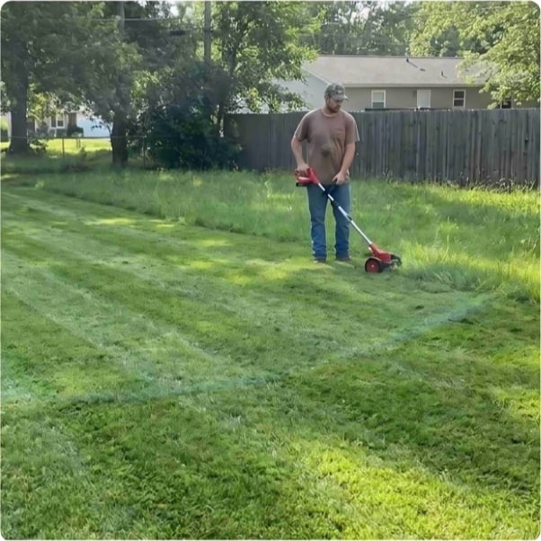 Wood Ranger Lawn Trimmer